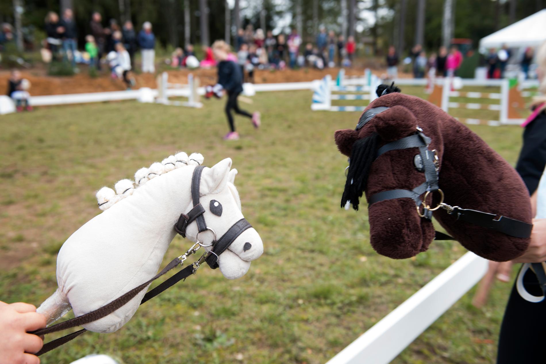Arkivbild. Käpphästarna Mindy (vit) och Amigo (brun) vid distriktsmästerskapen i käpphästridning på Runstens Gård i Huddinge i september 2017. Nu har sporten fått en permanent arena i Stockholm.