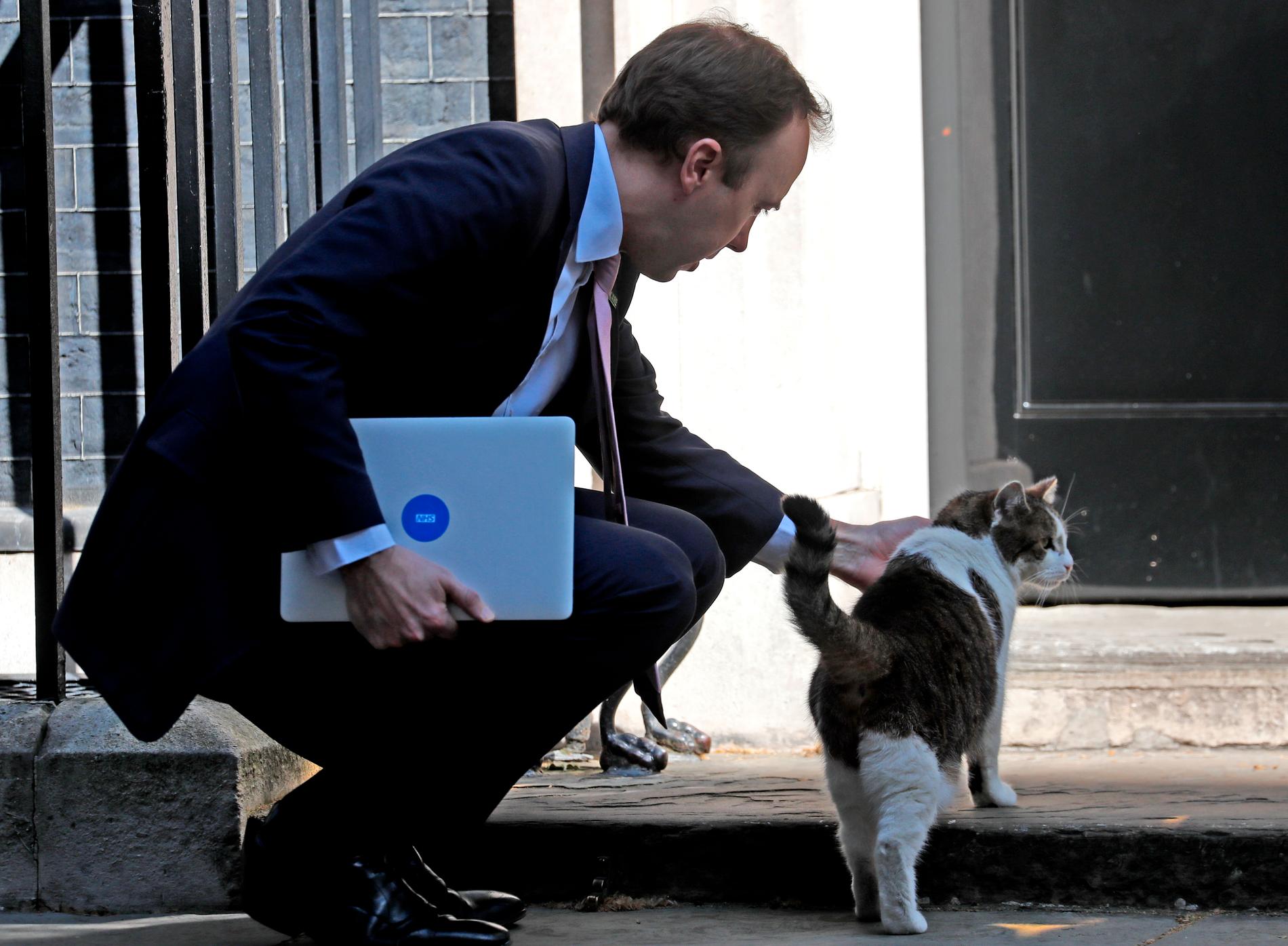 Larry, en av de katter som kvarstår i det brittiska rikets tjänst, utanför premiärministerns bostad 10 Downing street.