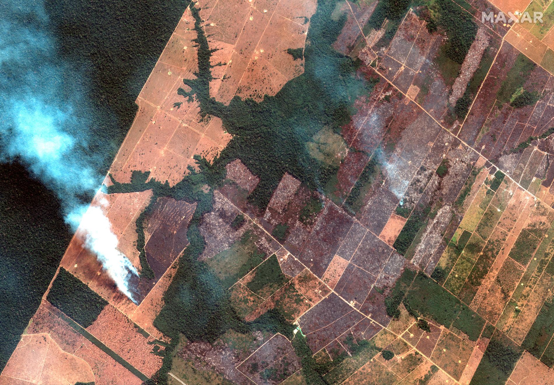 Satellitbild från 15 augusti visar bränder i delstaten Rondonia.