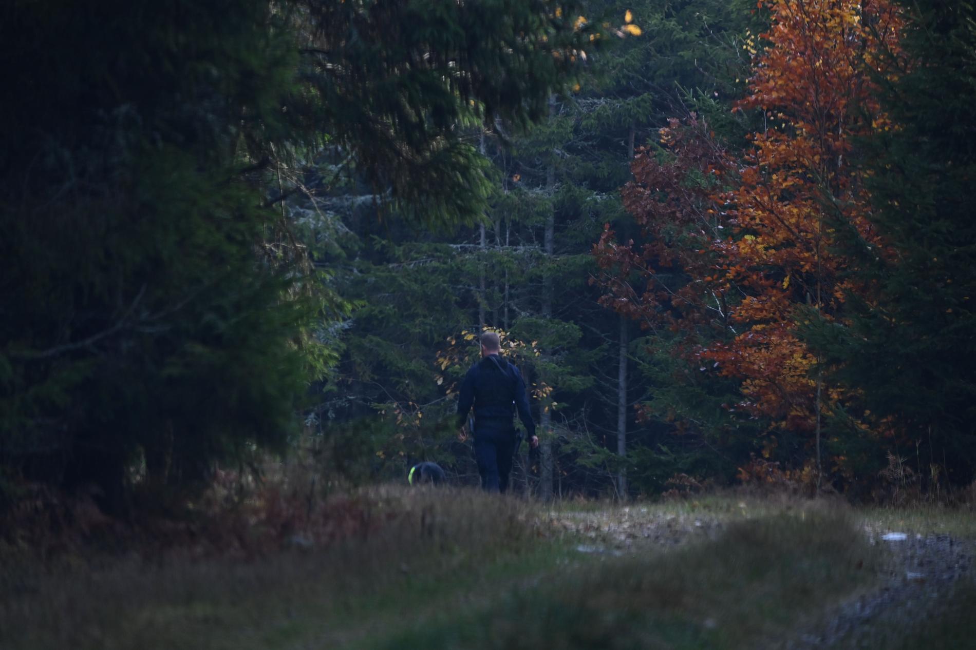 Polispatruller med polishundar sökte den 27 oktober igenom ett skogsområde utanför Vetlanda..