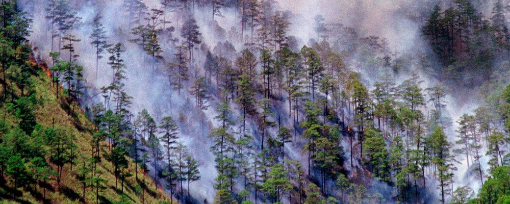 1998 orsakade El Niño stort kaos över hela världen. Här en skogsbrand i bergen i Talubin på Filippinerna.