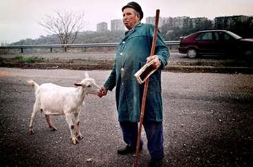 En fåraherde matar sin get i det lite slitna och nedgångna Baltjik.