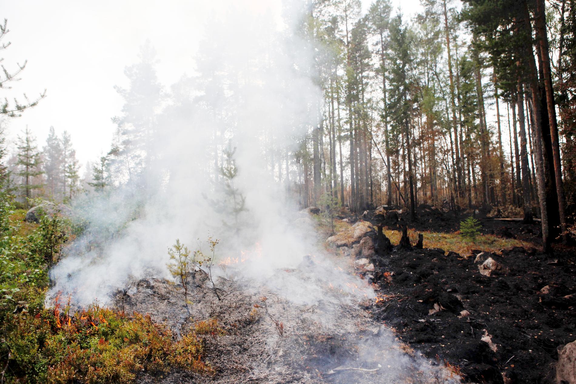 Pyrande rök vid skogsbranden i Ljusdals kommun, i närheten av Ängra och Huskölen, i juli 2018.