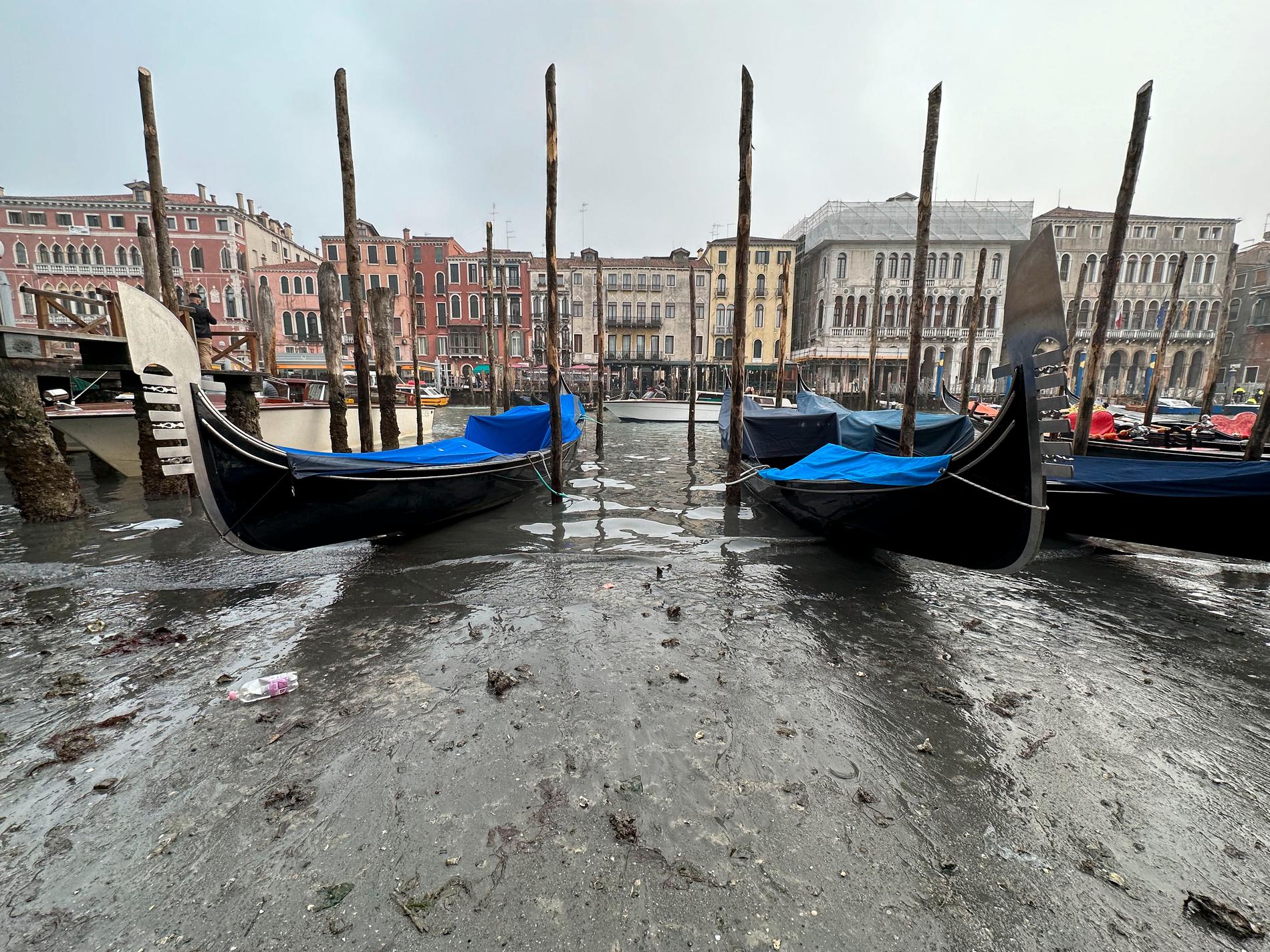 Venedigs kanaler torkar – regnbrist slår hårt