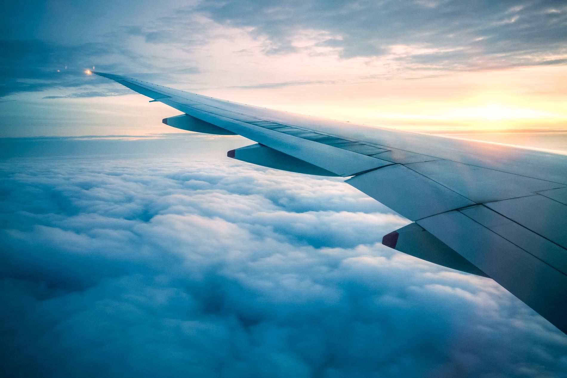 Över 300 av världens flygbolag rankas årligen av Skytrax. 