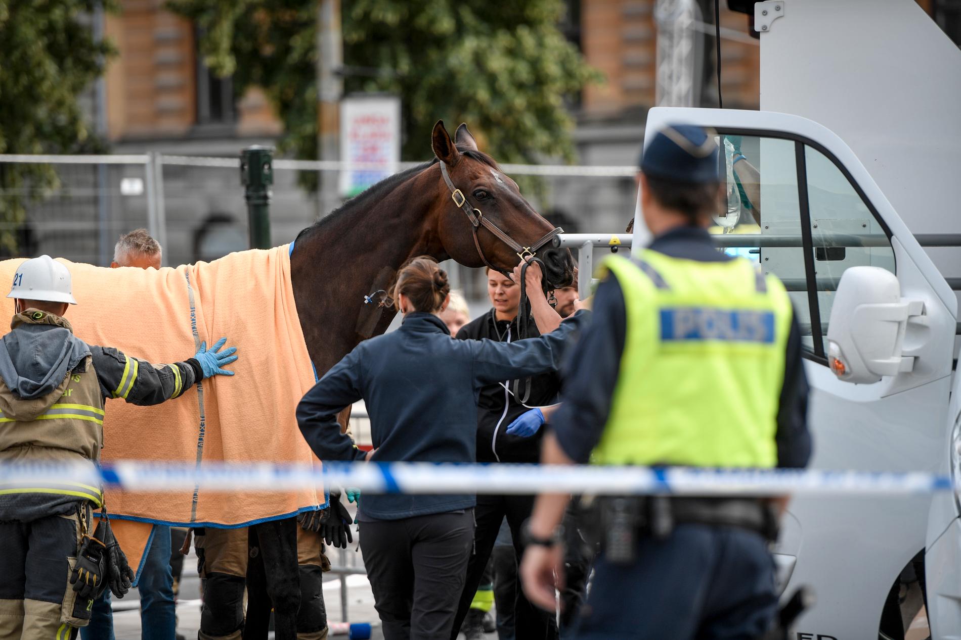 En ridande polis blev påkörd i centrala Stockholm på onsdagseftermiddagen.