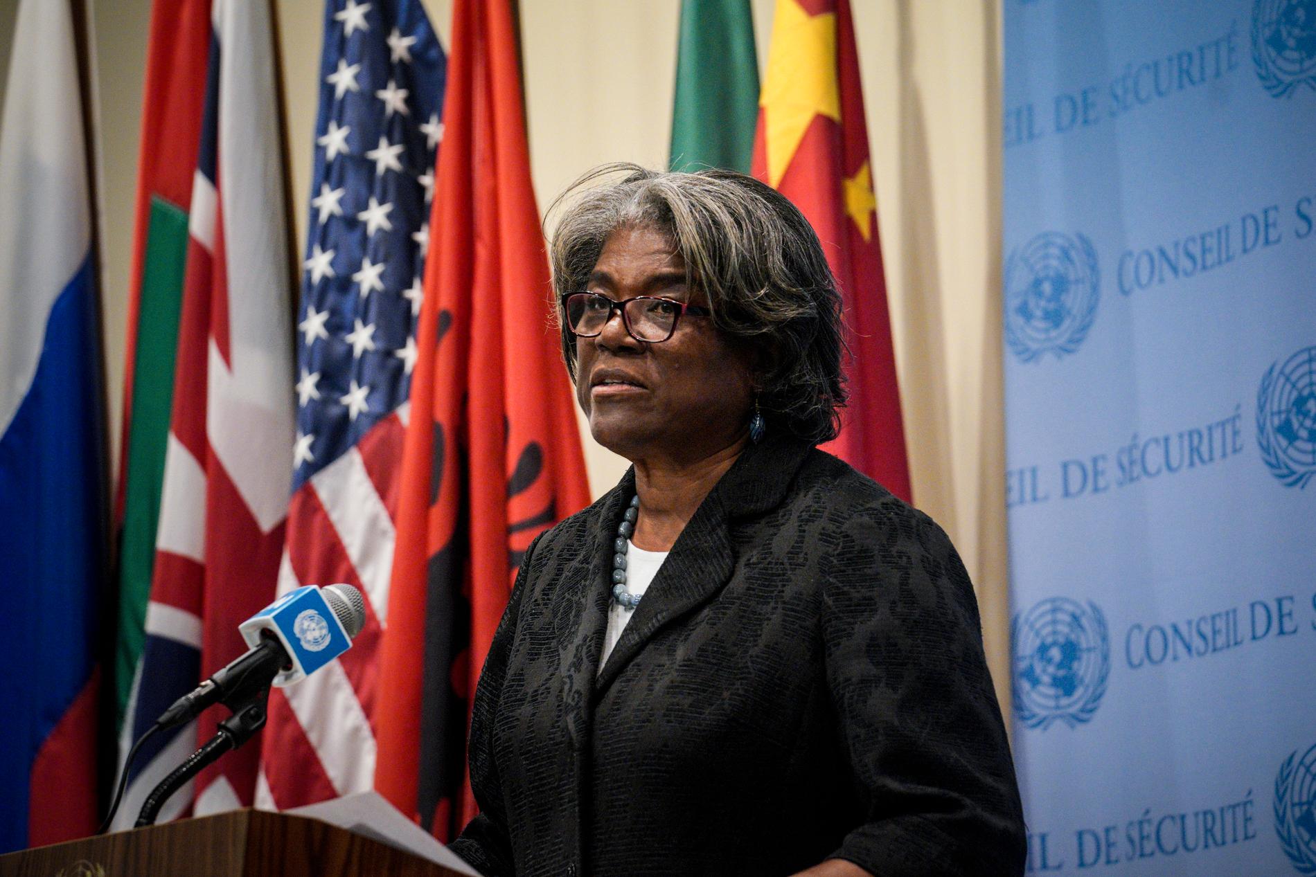USA:s FN-ambassadör Linda Thomas-Greenfield säger att FN:s säkerhetsråd finns till för att skydda territoriell integritet. Arkivbild.