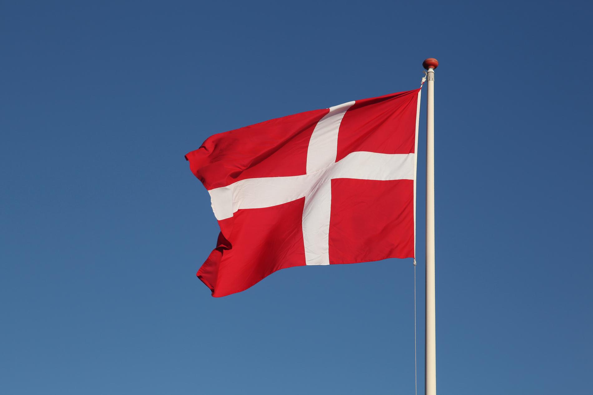Efter två års uppehåll ska Danmark börja ta emot kvotflyktingar igen. 
