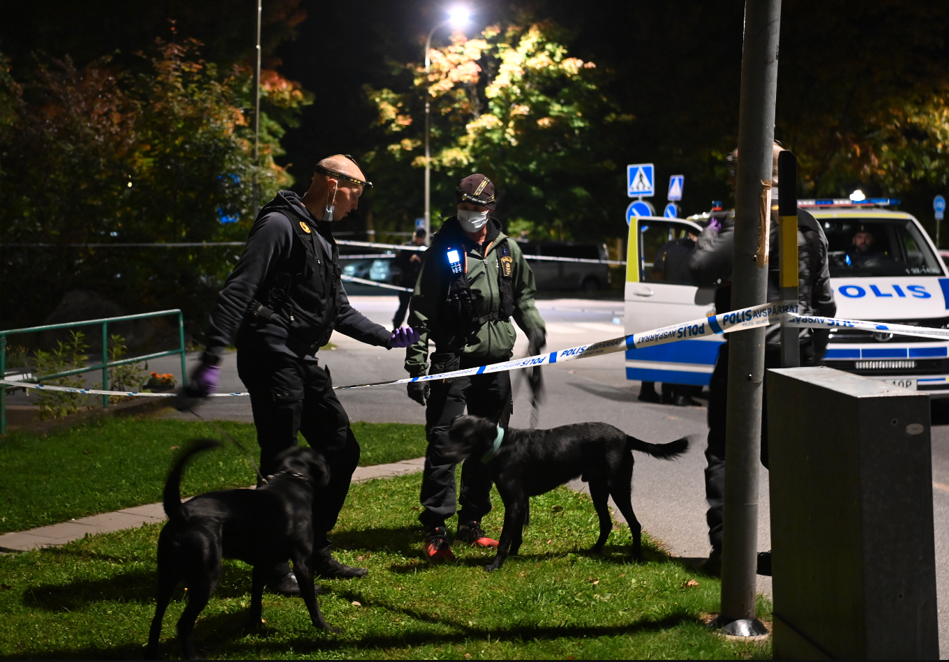 Polisen har hjälp av hundar på platsen.