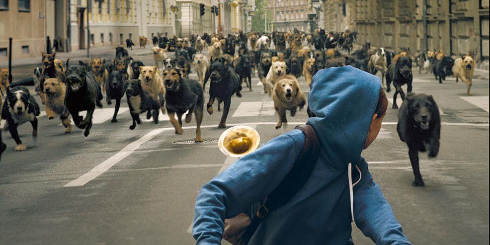 274 hundar var med under inspelningen av Revolten, som vann Un Certain Regard i Cannes. 