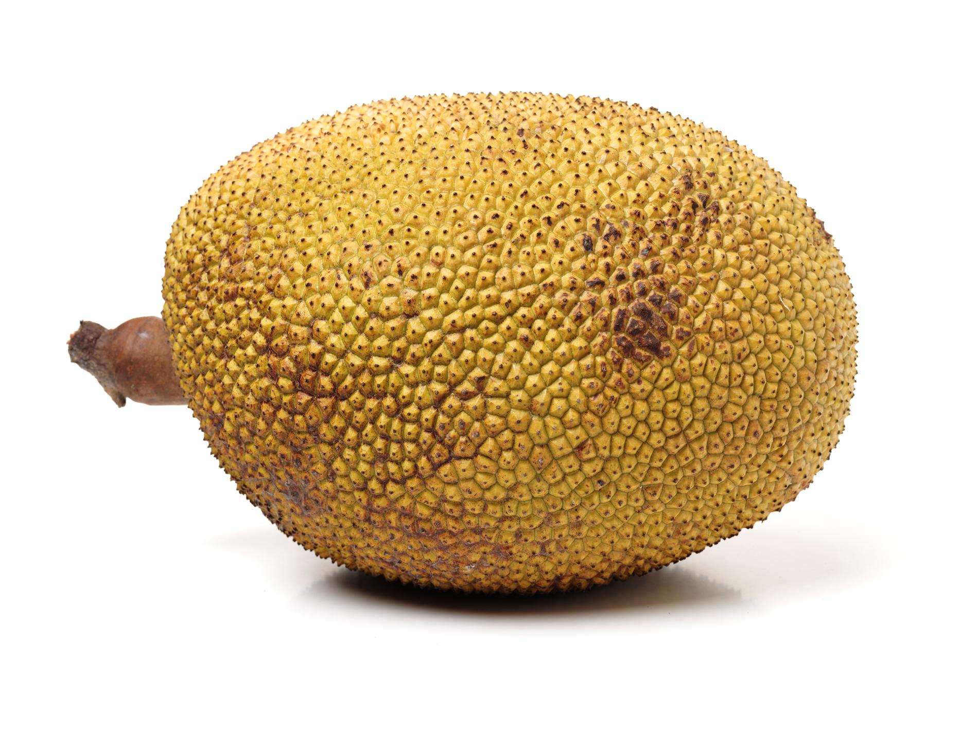 Fostret är stor som en jackfruit.