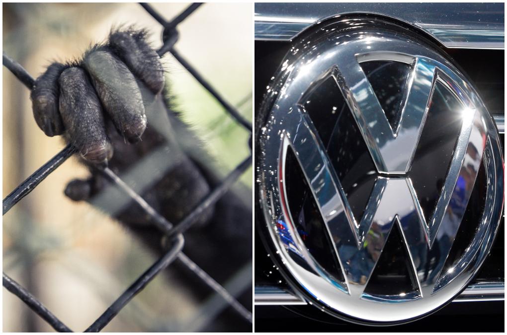 Chefslobbyisten Thomas Steg stängs av från Volkswagen efter skandalen kring utsläppstester på aport.