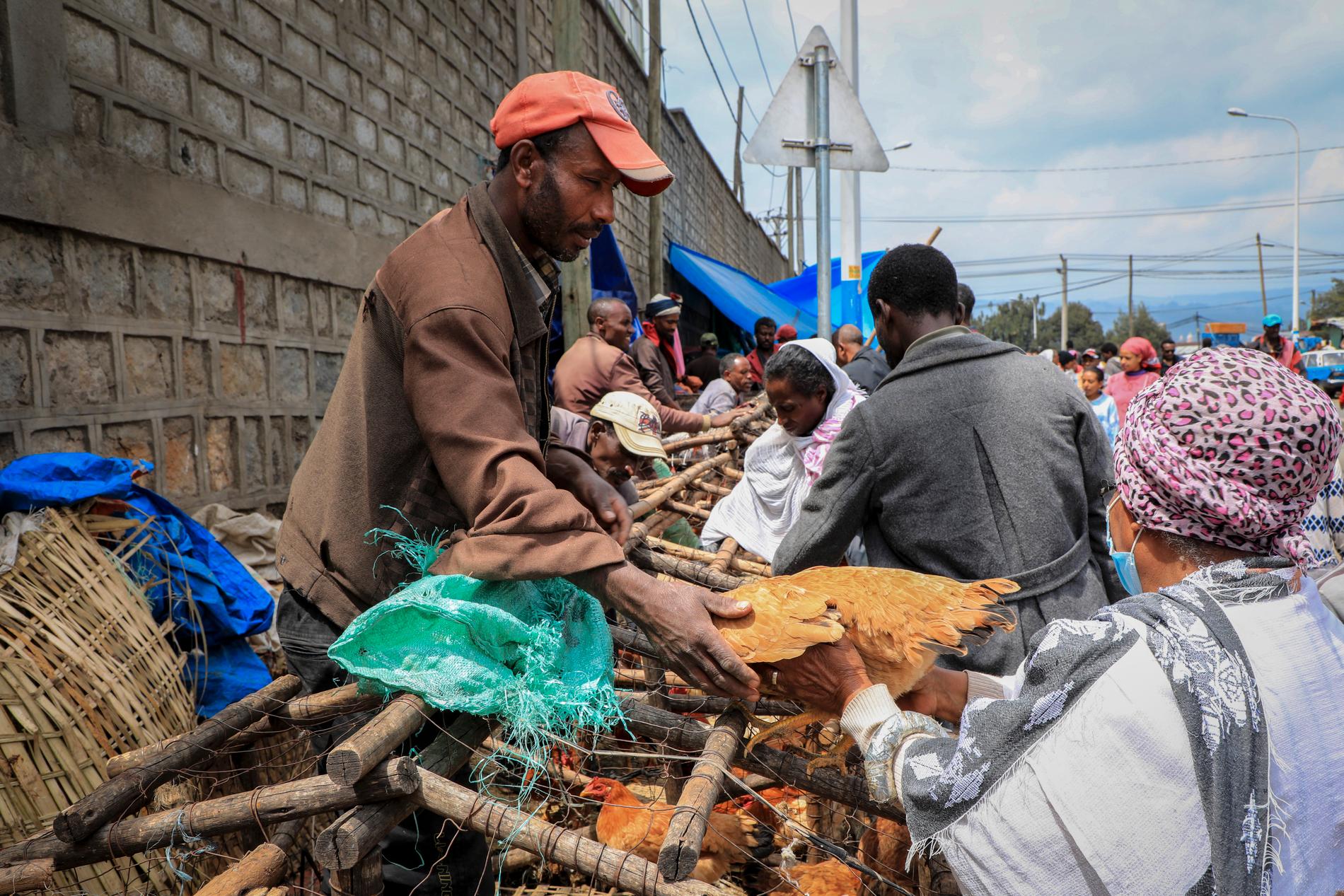En man säljer kyckling på Sholla Market i Addis Abeba. Etiopien var en gång en av Afrikas snabbast växande ekonomier, men nu är läget i landet tuffare. Kriget i dess Tigray-regionen har tagit ny fart, samtidigt som man har den högsta inflationen på ett decennium. Valutarestriktioner, stigande skulder och massiva statliga utgifter för kriget gör livet hårt för landets befolkning. 