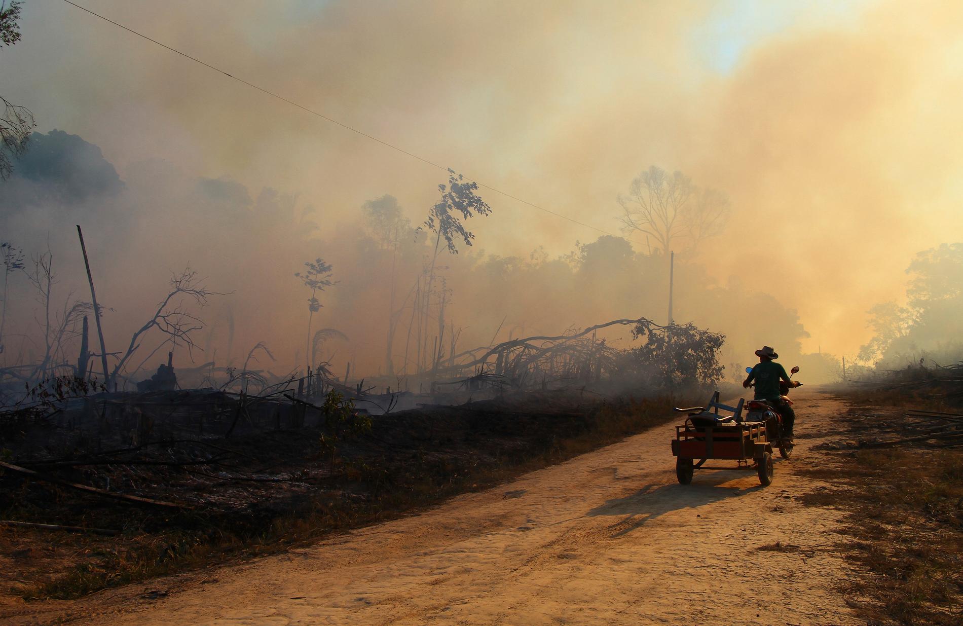 ”Vi fortsätter bränna fossila bränslen, utsläppskurvorna pekar konstant åt fel håll och Amazonas skövlas just nu snabbare än någonsin.”