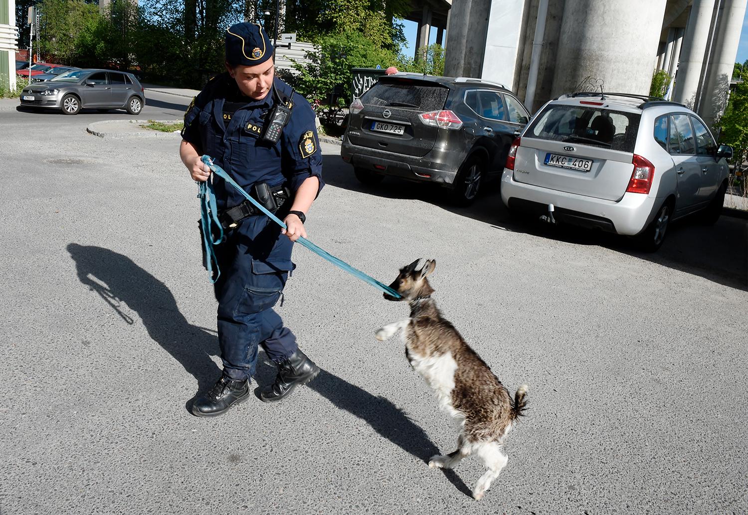 Polisen räddade geten ur en varm bil som stod parkerad utanför Badmintonstadion vid Skanstullsbron i Stockholm.