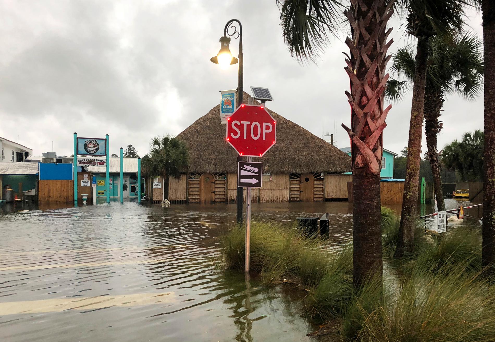 En flod i staden S:t Marks i Florida svämmade över på grund av kraftigt regn inför ovädret Michaels ankomst.