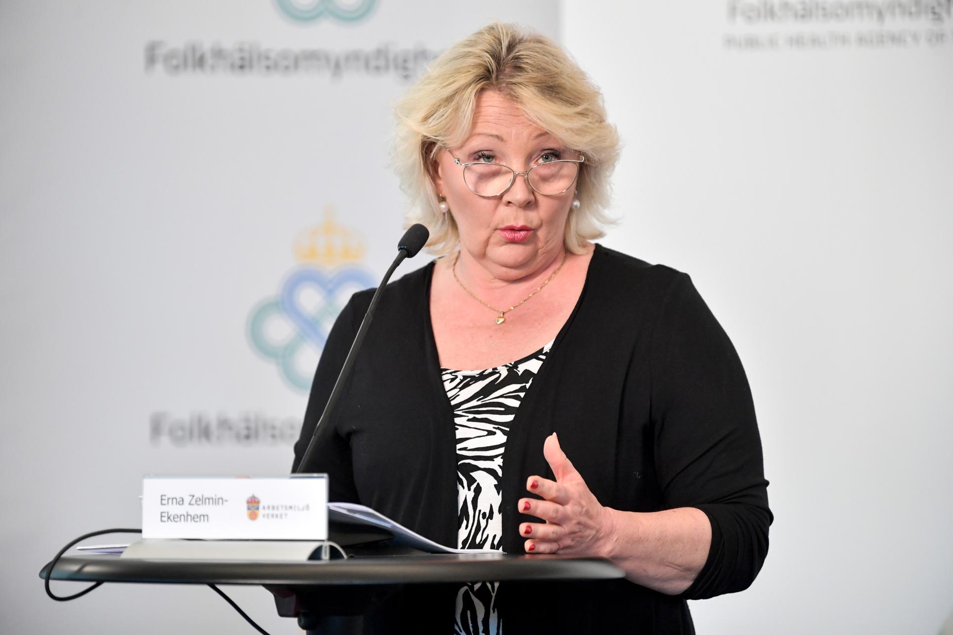 Erna Zelmin-Ekenhem, generaldirektör på Arbetsmiljöverket. Arkivbild.