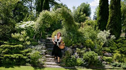 Olga Cederbergs trädgård ligger intill skogen och är naturligt kuperad vilket bidrar till den spännande och vilda naturkänslan.