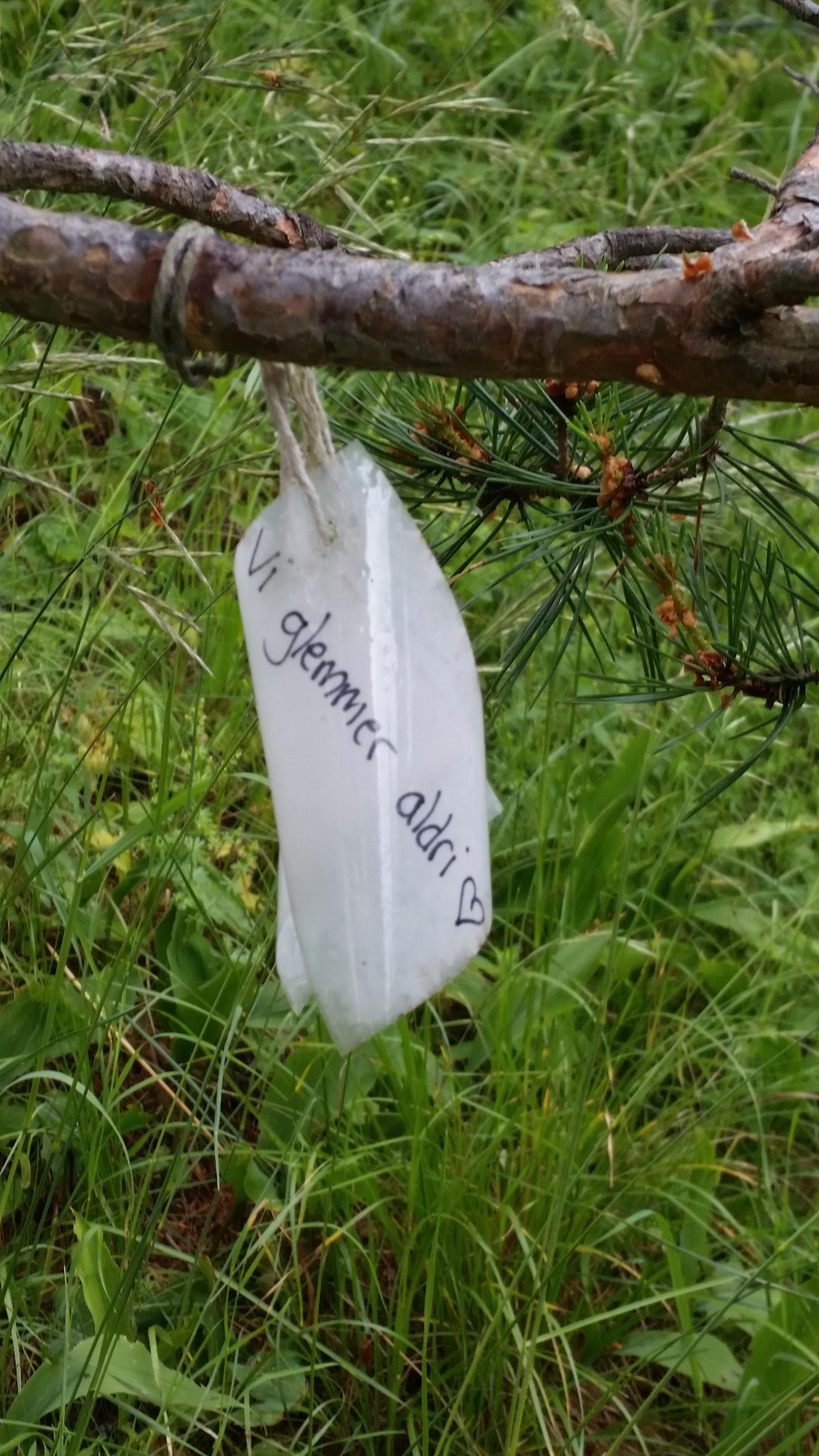Fem år efter  terrordådet hängde ungdomar och anhöriga hälsningar till de döda  i Minnesträdet. "Vi glemmer aldri".