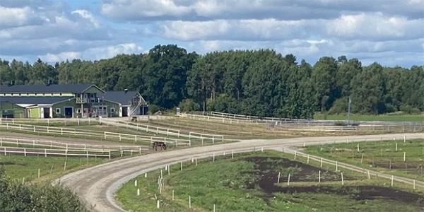 Söderby gård har för tillfället plats för cirka 100 hästar. Om Gocciadoro kommer tillbaka till våren är ännu oklart. 