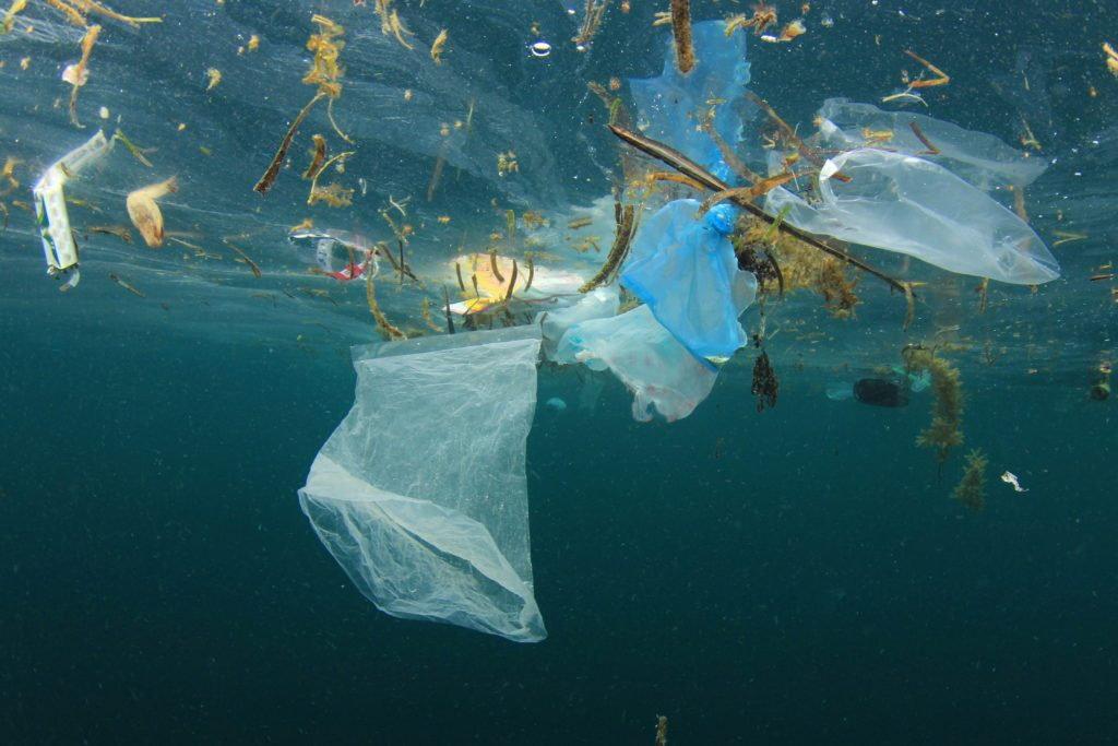 Världens hav är fyllda av plastskräp – det mesta kommer från engångsförpackningar.