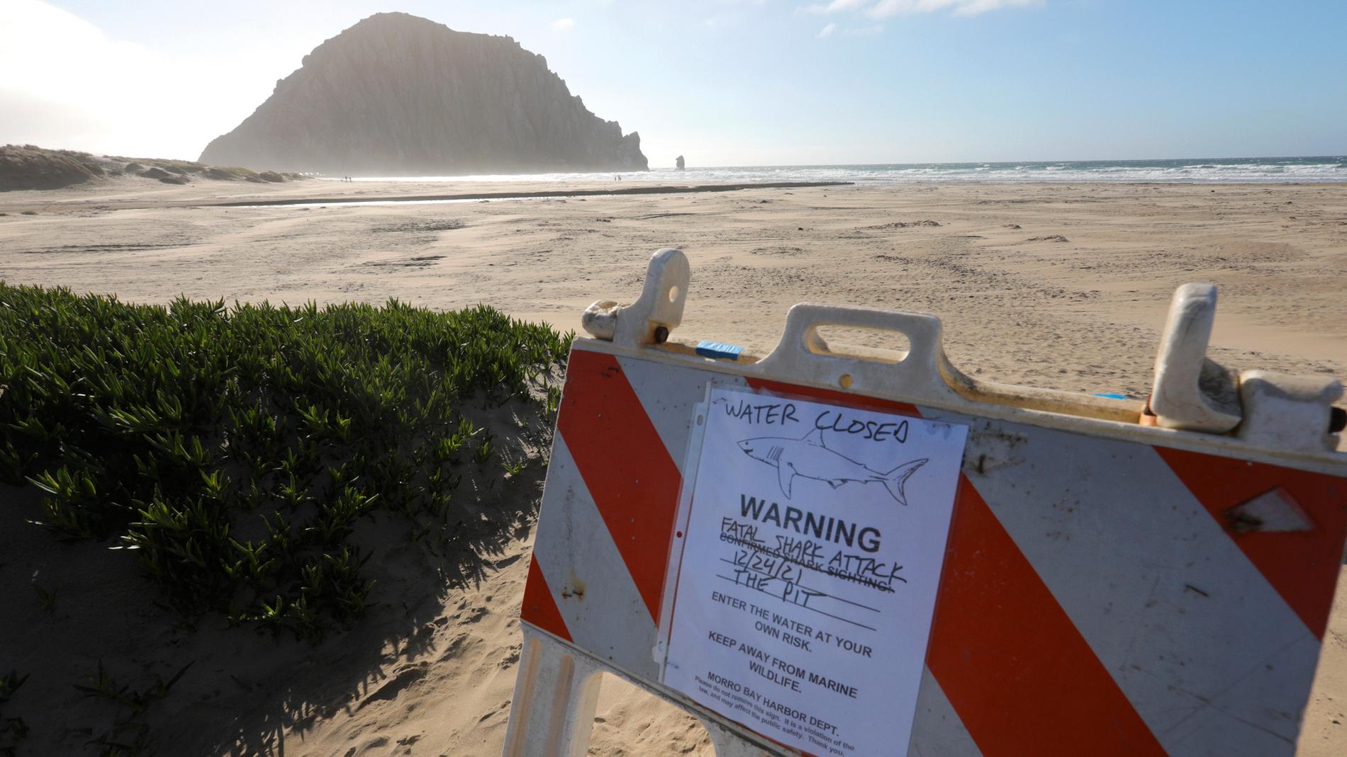 Varningsskyltar på stranden i Morro Bay i Kalifornien.