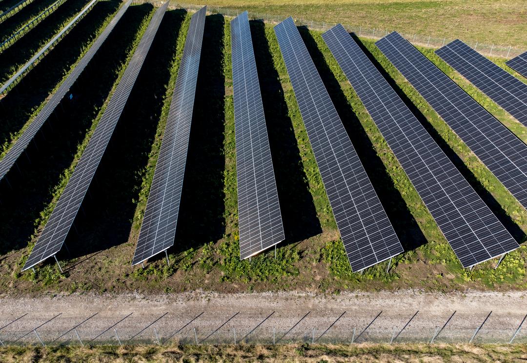 Solcellsparken i Skurup, skånes största, är på 26 hektar,  och har en maximal effekt på 18 MW. Men det finns ingen plan för hur man tar hand om uttjänta paneler.