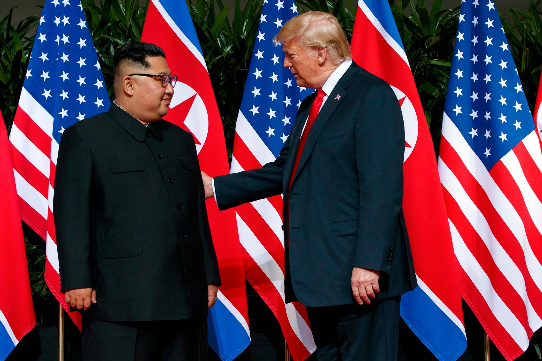 Donald Trump och Kim Jong-Un träffades i juni 2018.