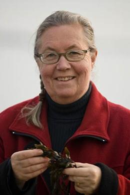 Lena Kautsky är professor emeritus på Stockholms universitets Östersjöcentrum.