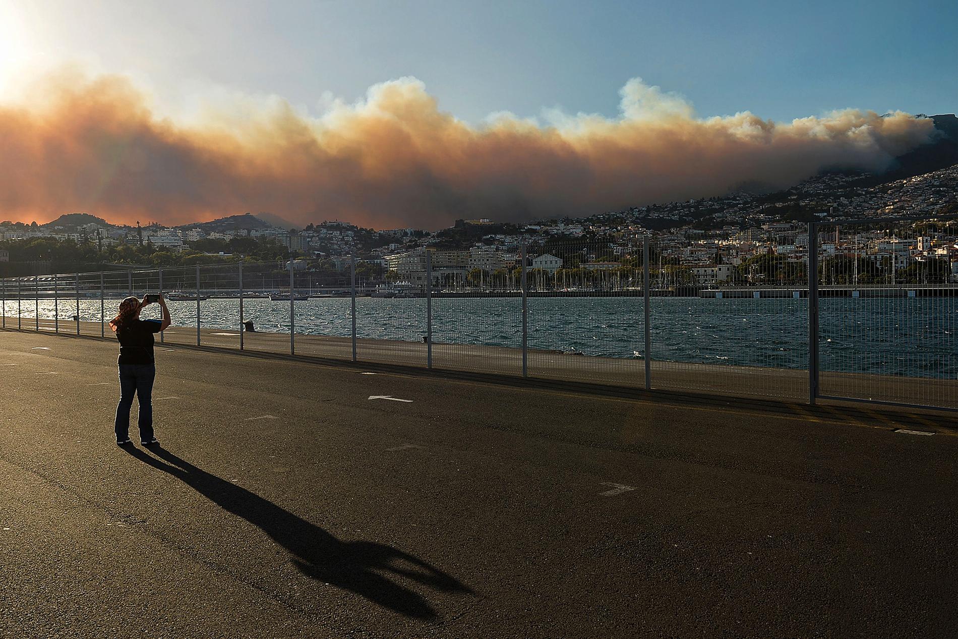 Brand utanför Funchal på Madeira, Portugal