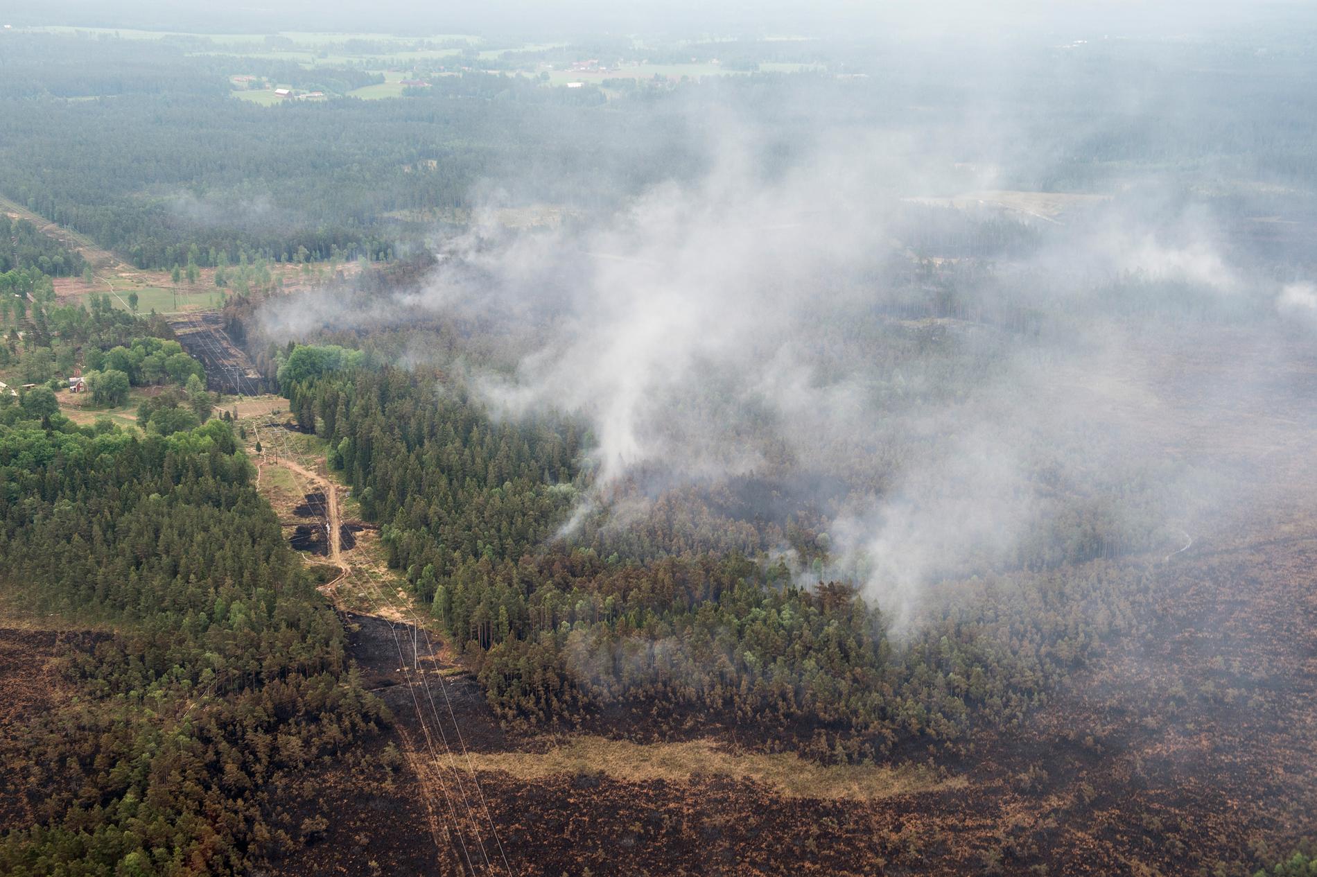 Det råder eldningsförbud och stor brandrisk på många håll i landet. På bilden syns rök från en skogsbrand utanför Bredaryd förra året. Arkivbild.