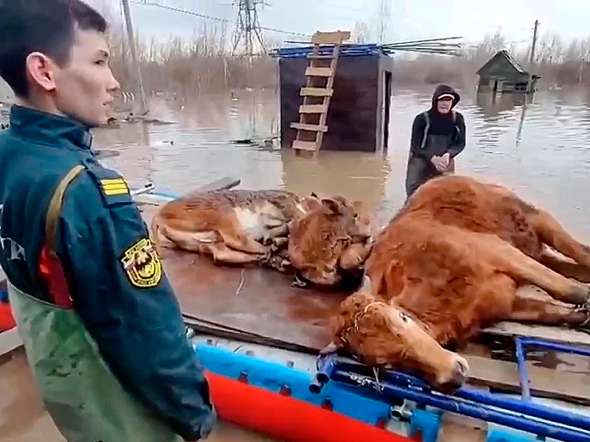 Översvämningar i Ryssland värre än någonsin