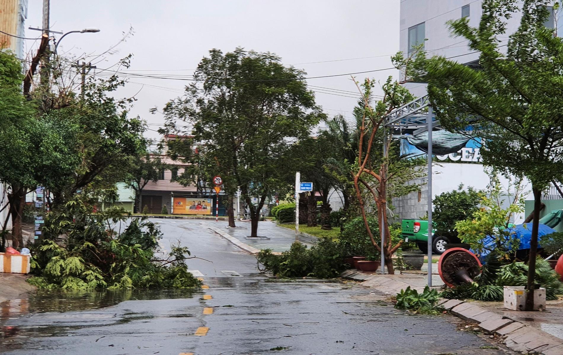 Tyfonen Molaves kraftiga vindar river ned träd och sliter av hustak. Bilden är tagen i Danang på onsdagen.