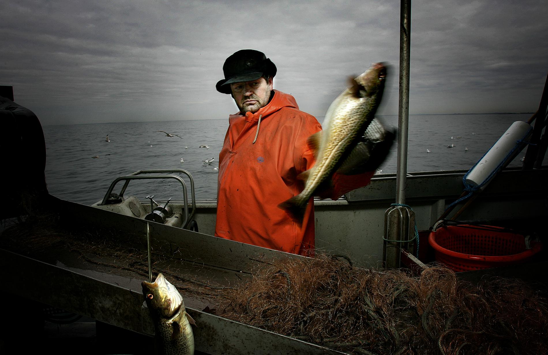 De senaste decenniernas misslyckade fiskeripolitik har konsekvent ignorerat forskarnas varningar, menar debattören.