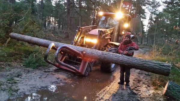 15 träd har trillat ner kring travtränaren Fredrik Perssons gård, flertalet över hans träningsbanor.