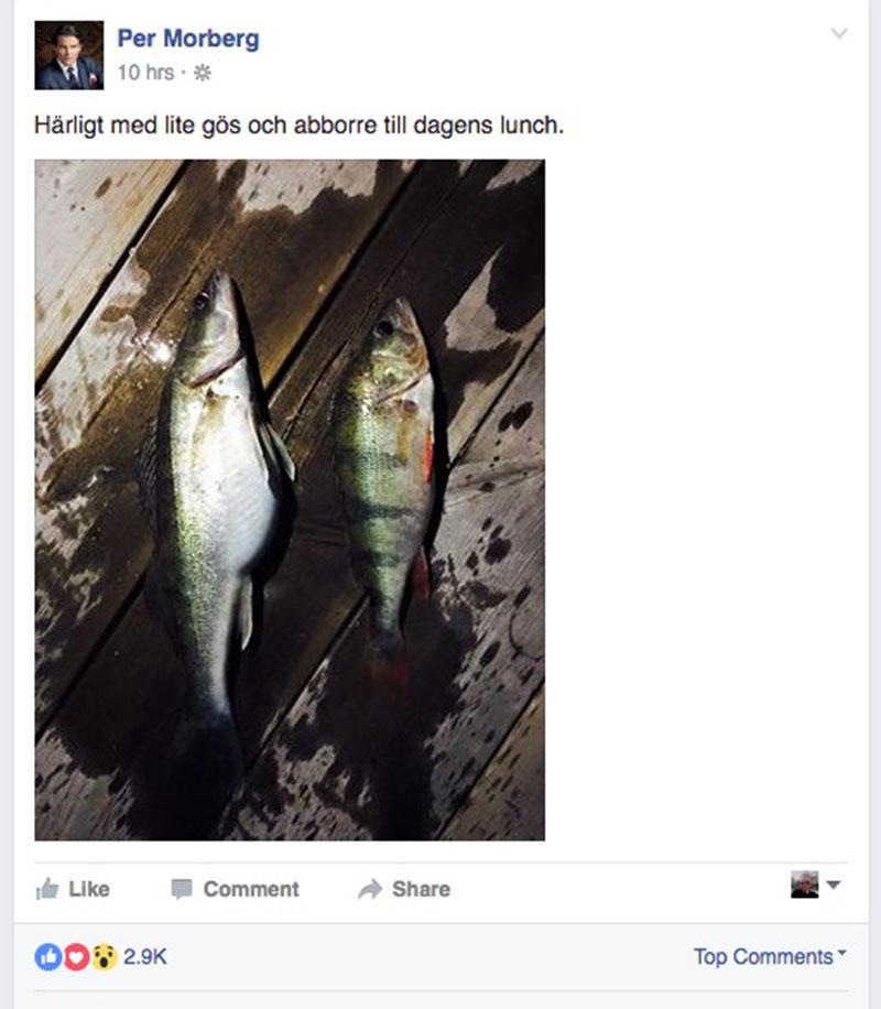 Per Morbergs inlägg på Facebook fick fiskeentusiaster att gå igång.