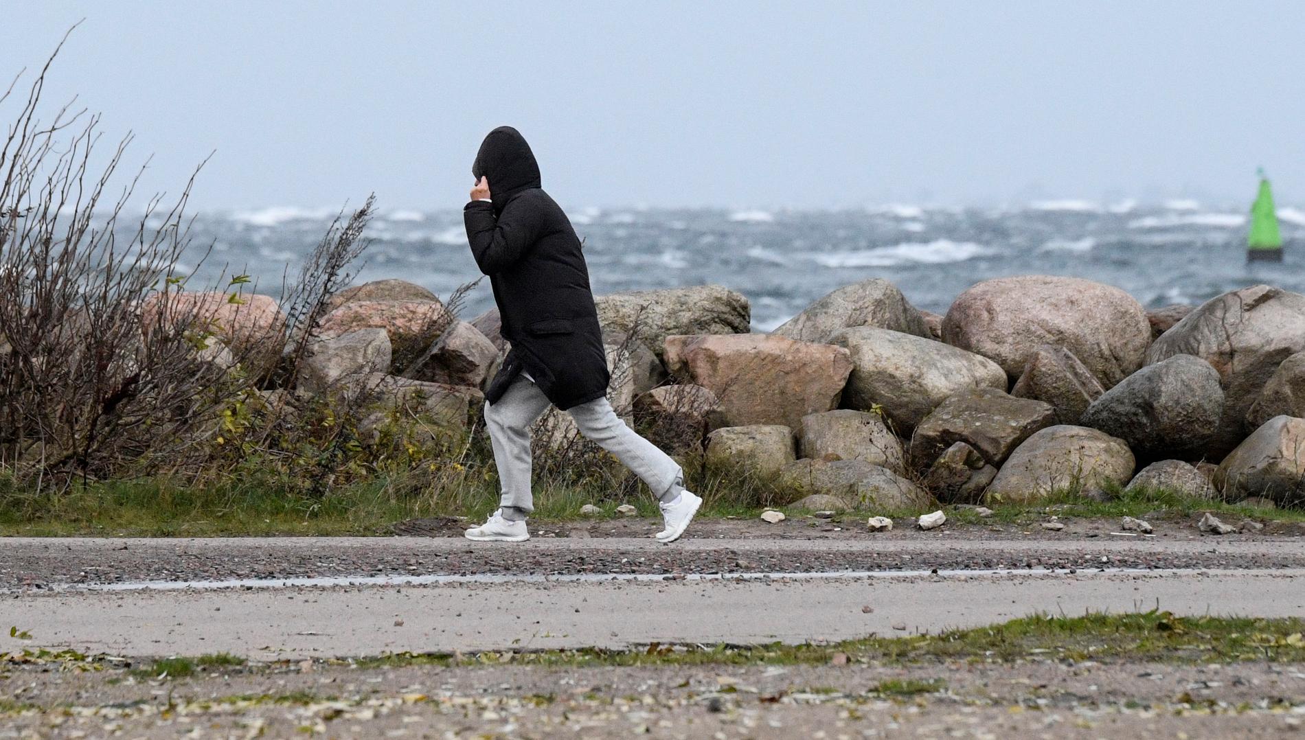 SMHI har utfärdat en klass 1 varning för mycket hårda vindbyar i bland annat Skåne. Arkivbild.