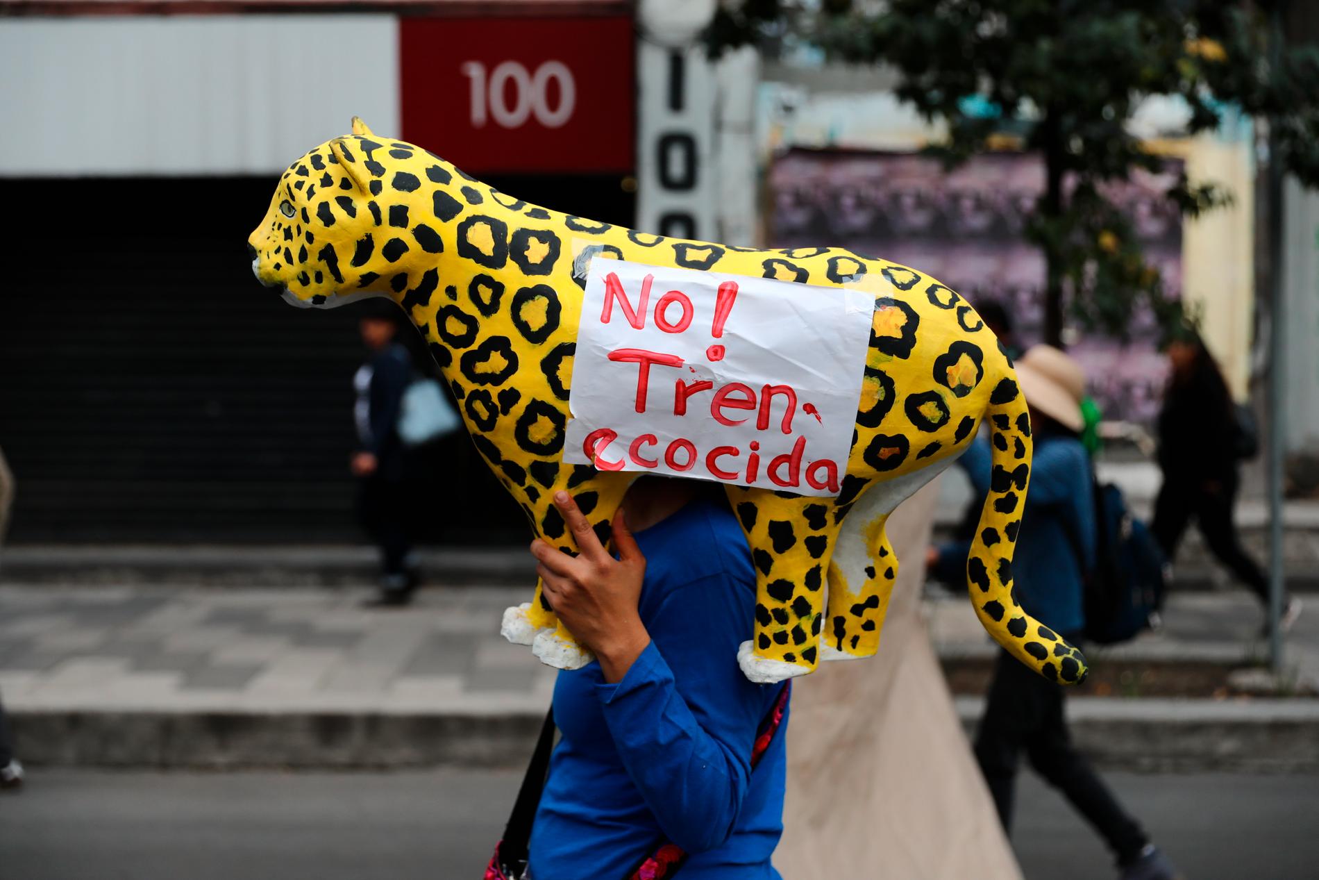 Bönder och aktivister protesterade mot "mayatåget" under en demonstration i Mexico City i februari 2020.