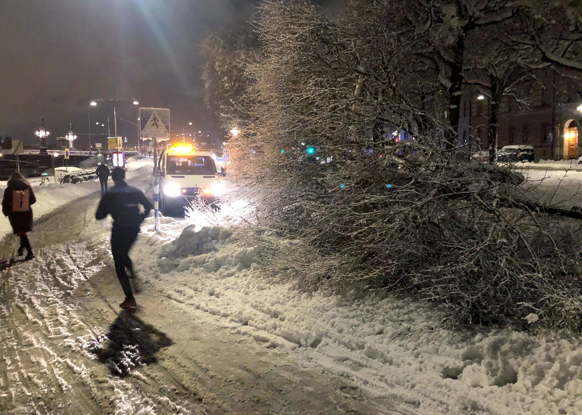 Ett träd har fallit omkull på Strandvägen i Stockholm.