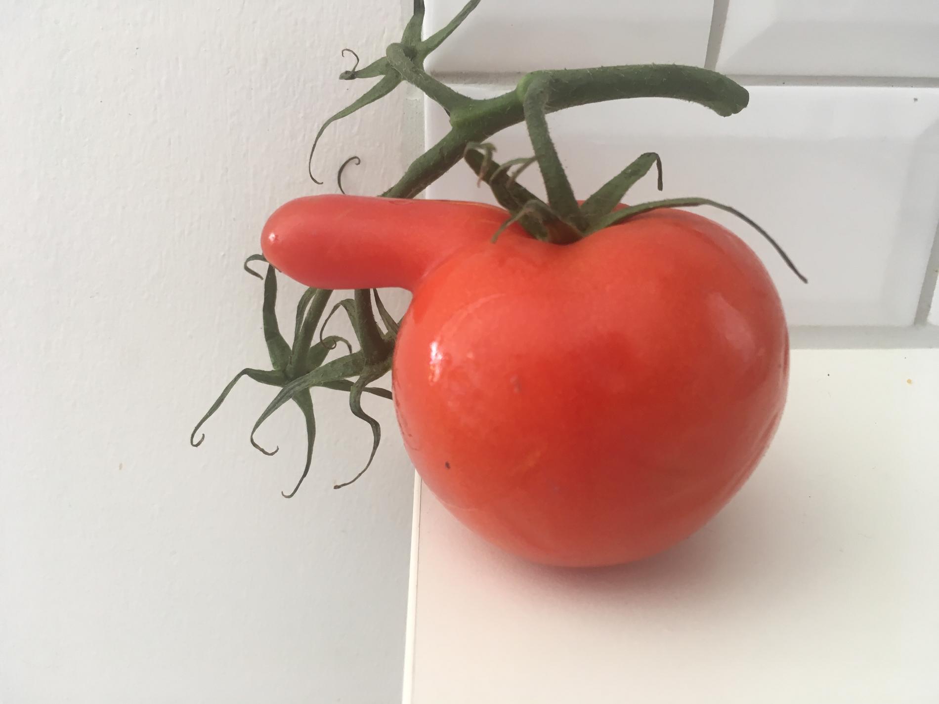 De fick sig ett gott skratt när de såg hur tomaten såg ut.
