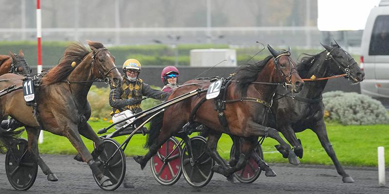 San Moteur och Björn Goop är en av favoriterna till att vinna Prix d’Amérique. Hotet, förutom motståndarnas hästar? En fransk kuskmaffia, det menar experten Anders Lindqvist. 