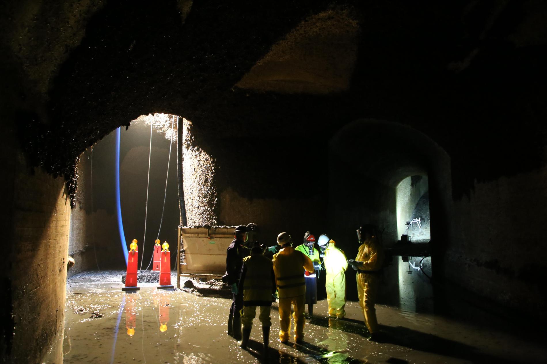På Ringhals kärnkraftverk i Varberg finns gott om både energi och musslor. I kylvattentunnlar som leder till reaktorerna frodas blötdjuren, något om varje år leder till omfattande saneringar.