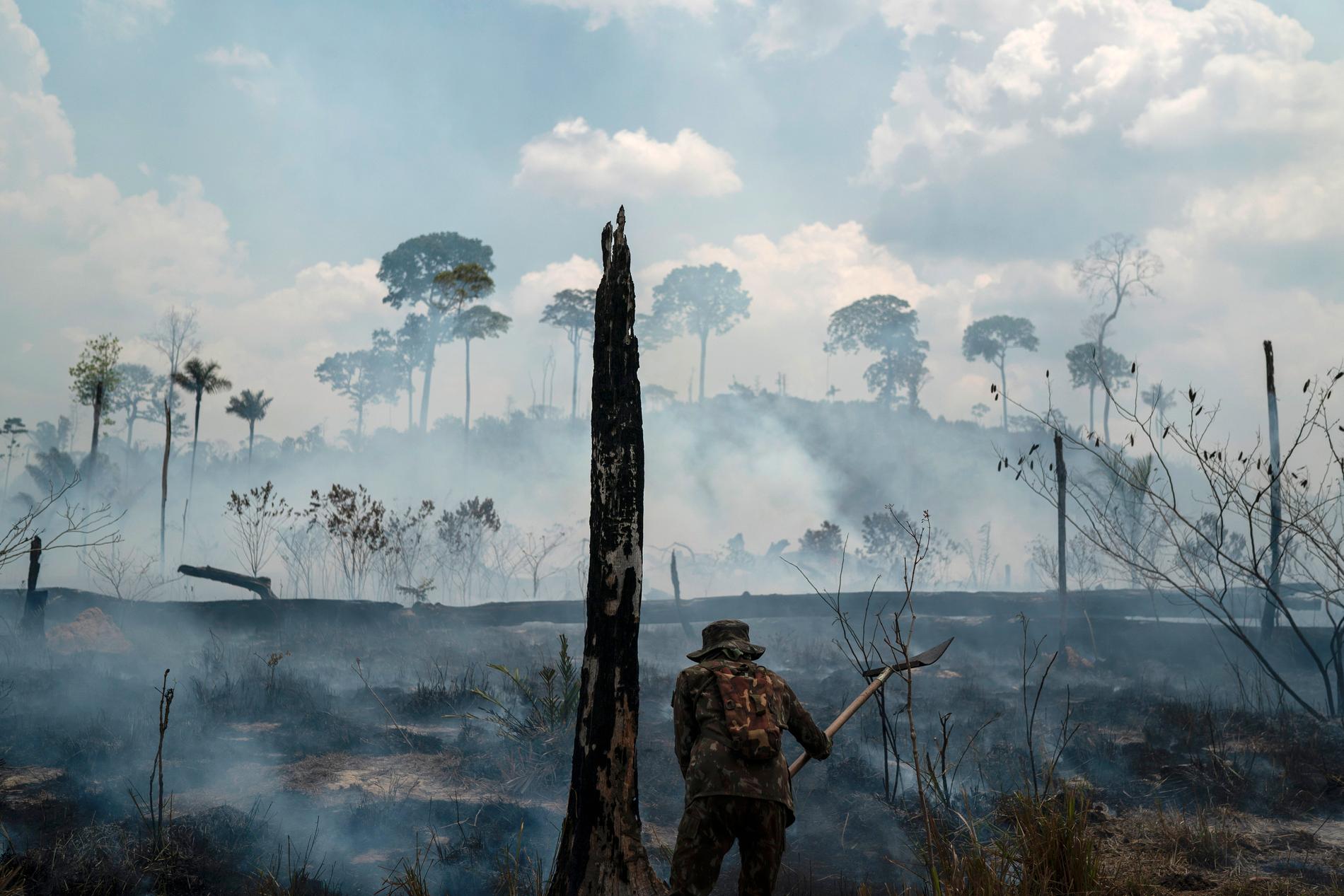 En brasiliansk soldat arbetar med att släcka skogsbranden i regionen Nova Fronteira. Bild från 3 september.
