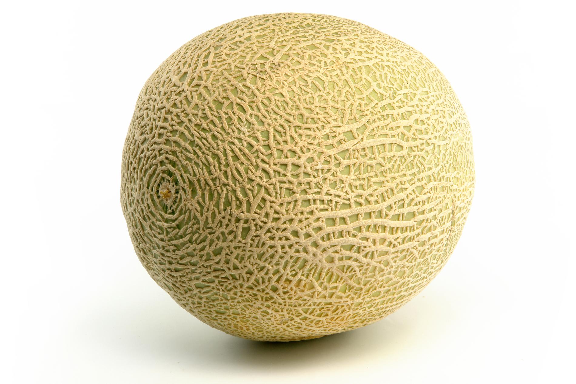 Fostret är ungefär stor som en Cantalope-melon.