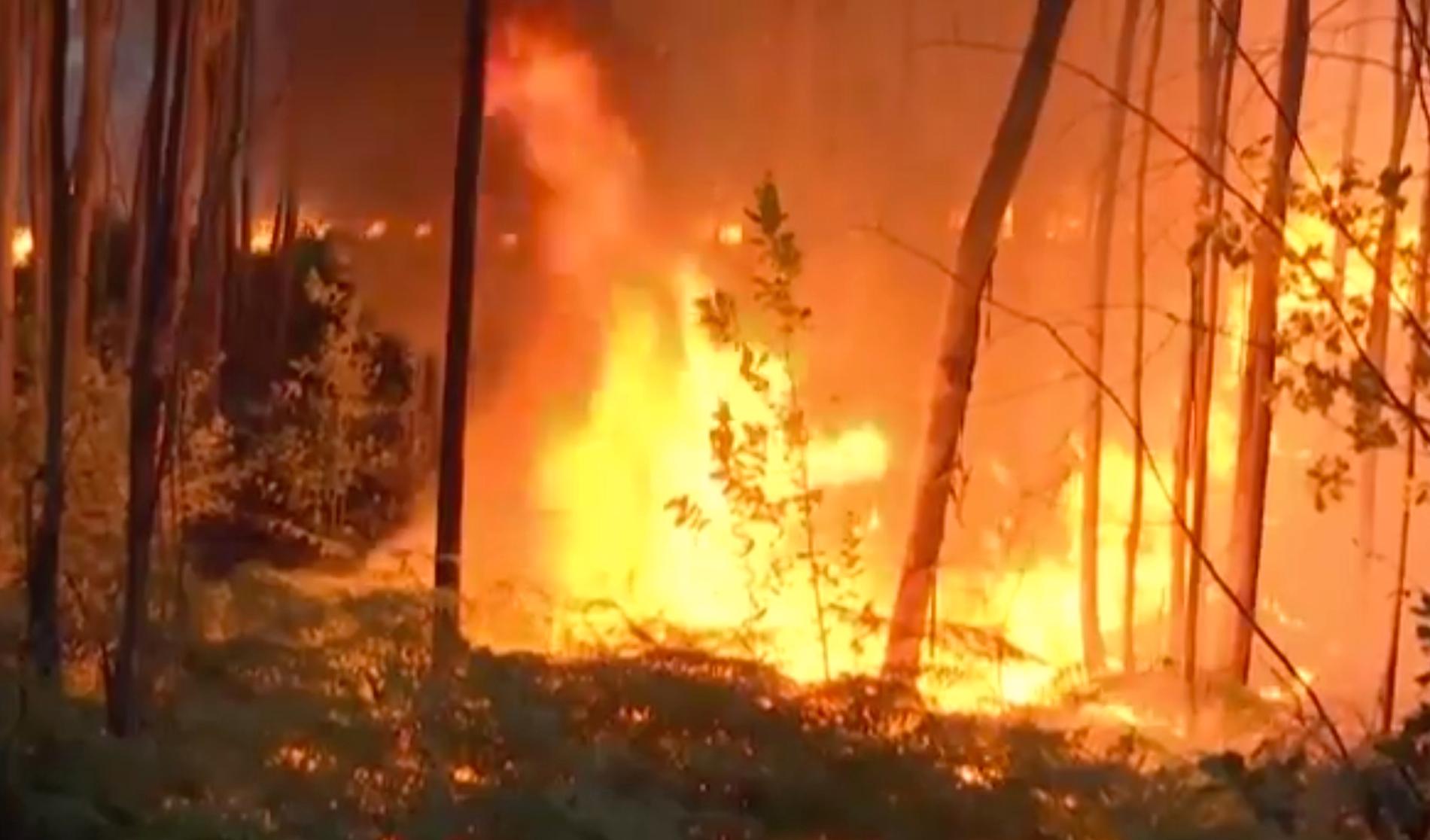 Flera skogsbränder har flammat upp i Portugal. 1 000 brandmän har kallats in.