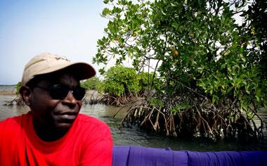 LÅGVATTEN. ”Tidvattnet blottar mangroverötterna och musslorna blir lättfångade för tjuvfiske, berättar vår guide Mountaga.”