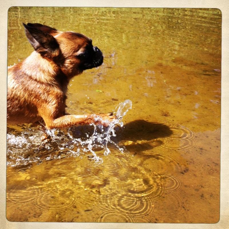 Bosse badade för första gången. Han älskade det!