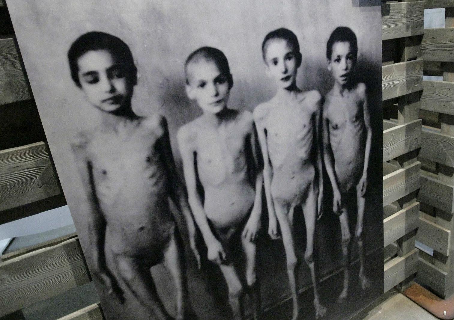 Fyra romska barn som blivit utsatta för doktor Josef Mengeles forskningsprojekt i Auschwitz.