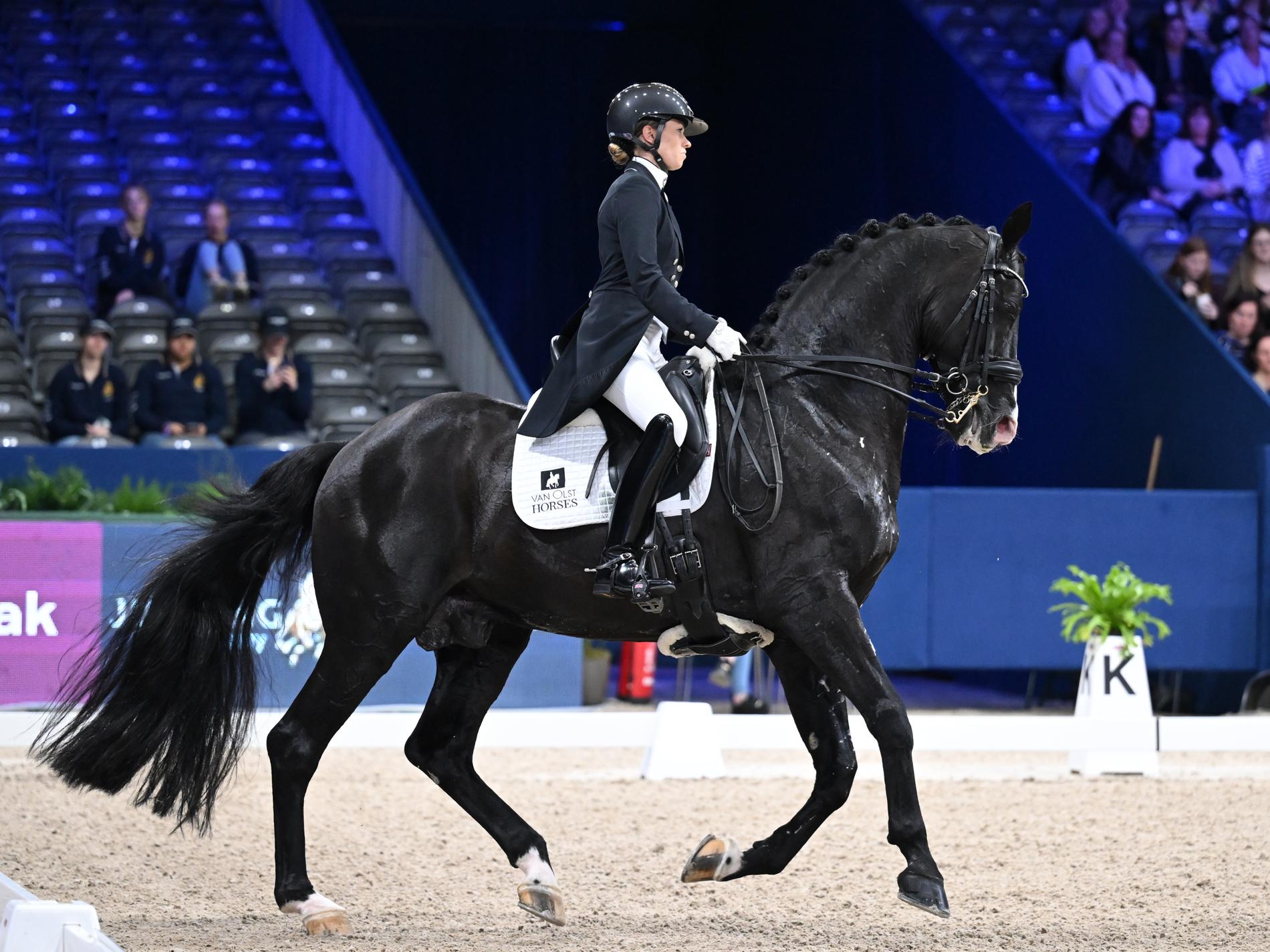 Charlotte Fry rode the horse Everdale to victory in Amsterdam. When Professor Paul McGreevy analyzed this image of the pair, he pointed out that the horse's tongue shows signs of oxygen deprivation.