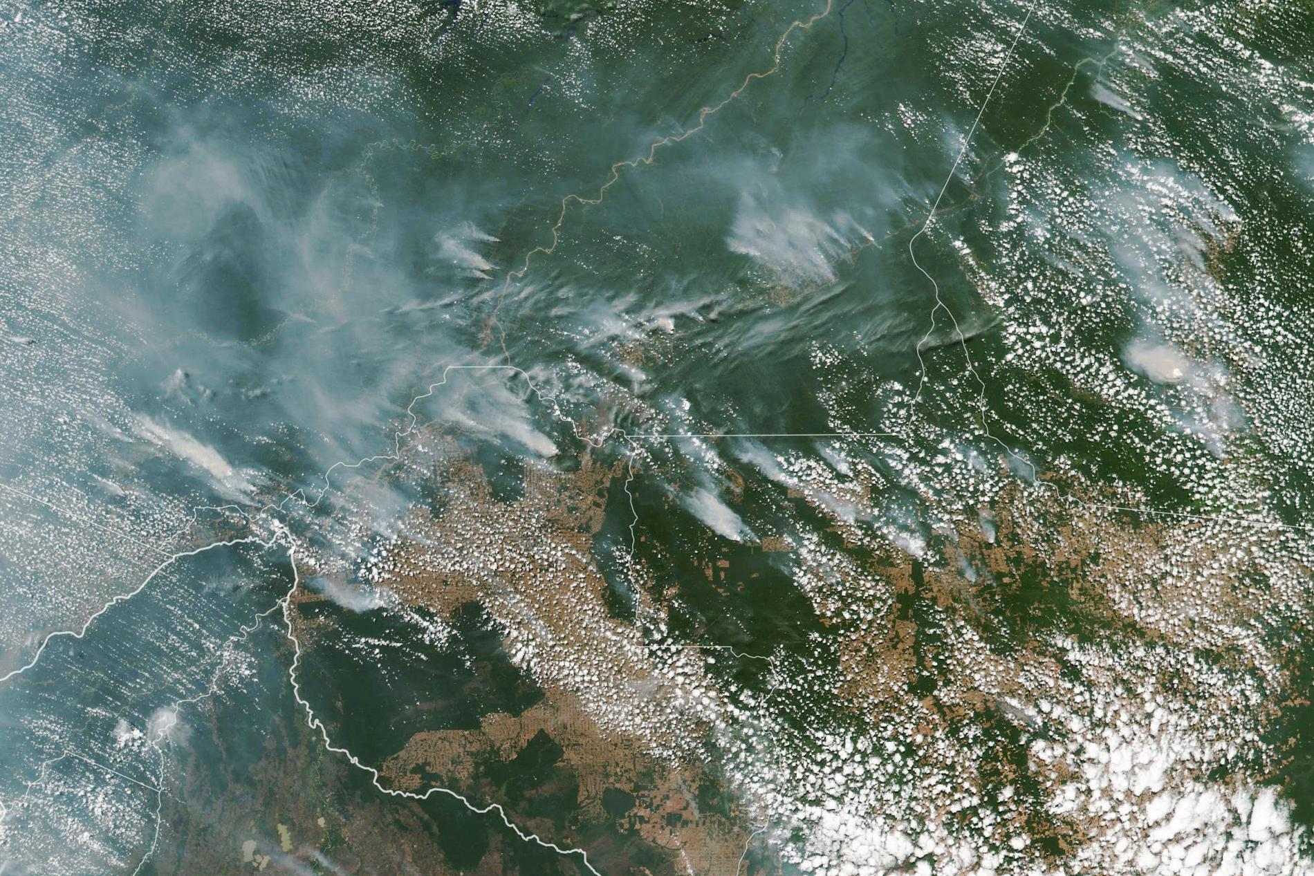 En satellitbild från Nasa visar flera bränder i Amazonas.